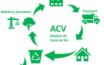 Analyse du cycle de vie (ACV) : un outil essentiel pour une stratégie durable